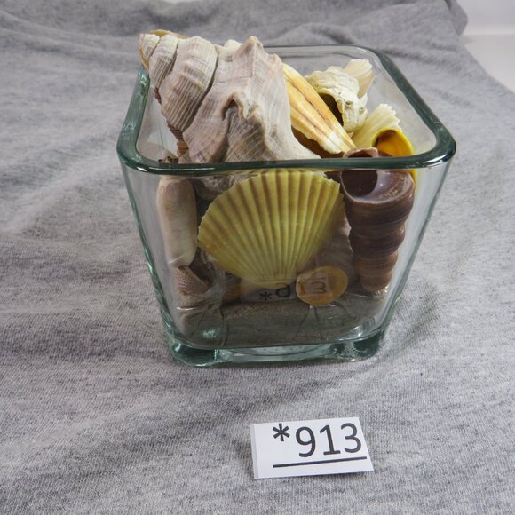 REAL Sea Shells in a Glass Square Vase and sand #6 - Picture 3 of 9